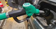 Benzyna i diesel jeszcze zdrożeją. "Zmiana po majówce"