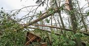 Te tragedie wstrząsnęły całą Polską. Dzieci nigdy nie wróciły z kolonii