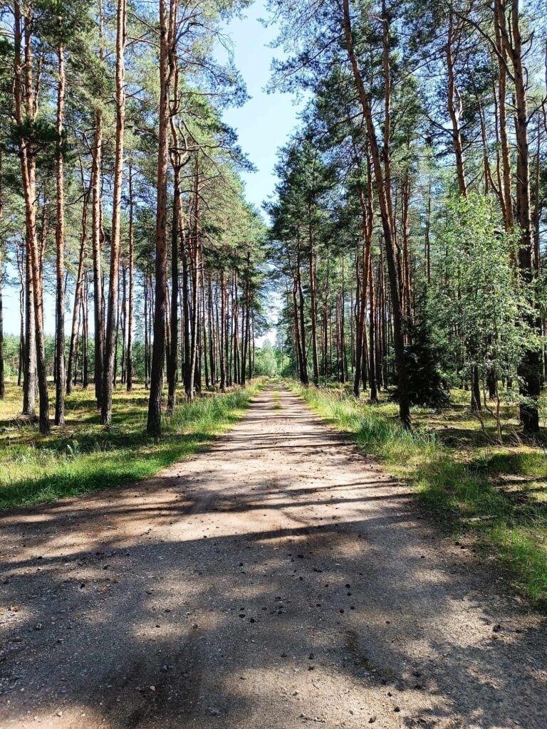 Szlak rowerowy Częstochowa Poraj