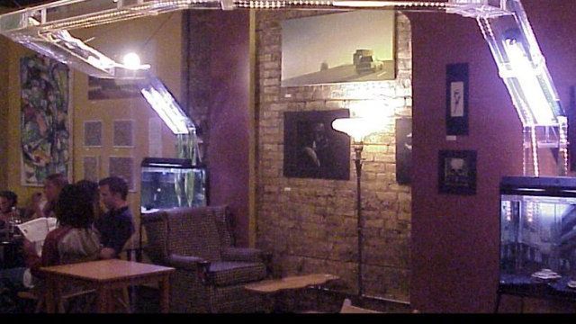 15 niezwykłych akwariów 1