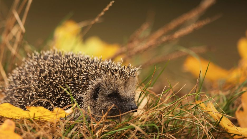 Zdjęcie ilustracyjne. Depositphotos