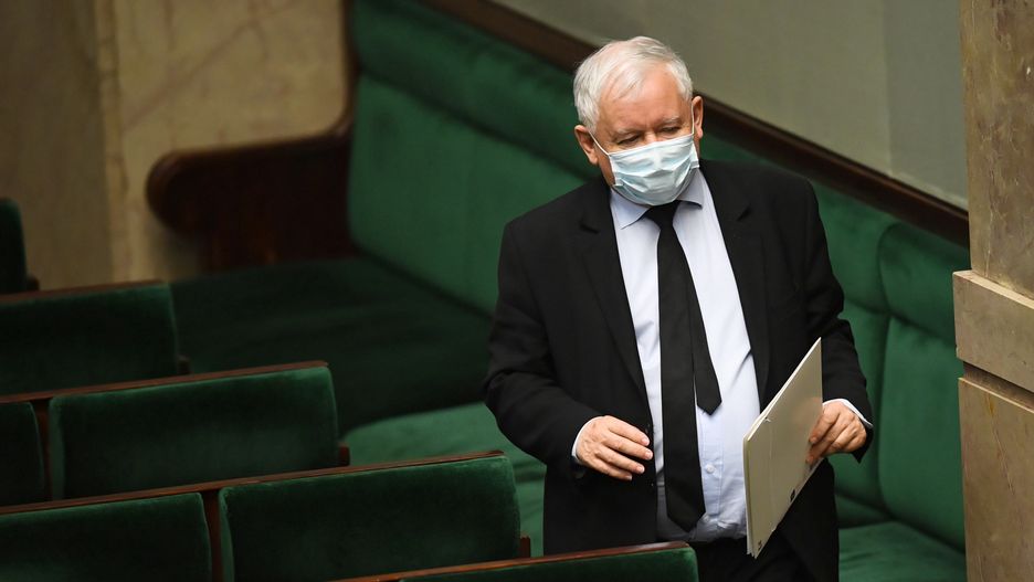 Burza w sprawie ustawu o zwierzętach. Posłanka PiS obrażano na lewicowości przepisów grozi odejściem