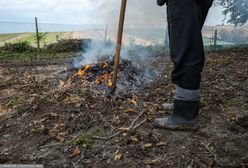 Uwaga przy jesiennych porządkach. Kary mogą sięgać 5 tys. zł