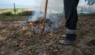 Uwaga przy jesiennych porządkach. Kary mogą sięgać 5 tys. zł