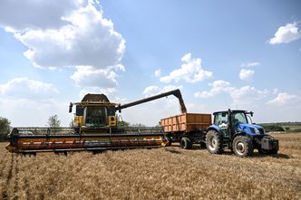 Szarańcza szaleje w Ukrainie. Polska szykuje plan awaryjny
