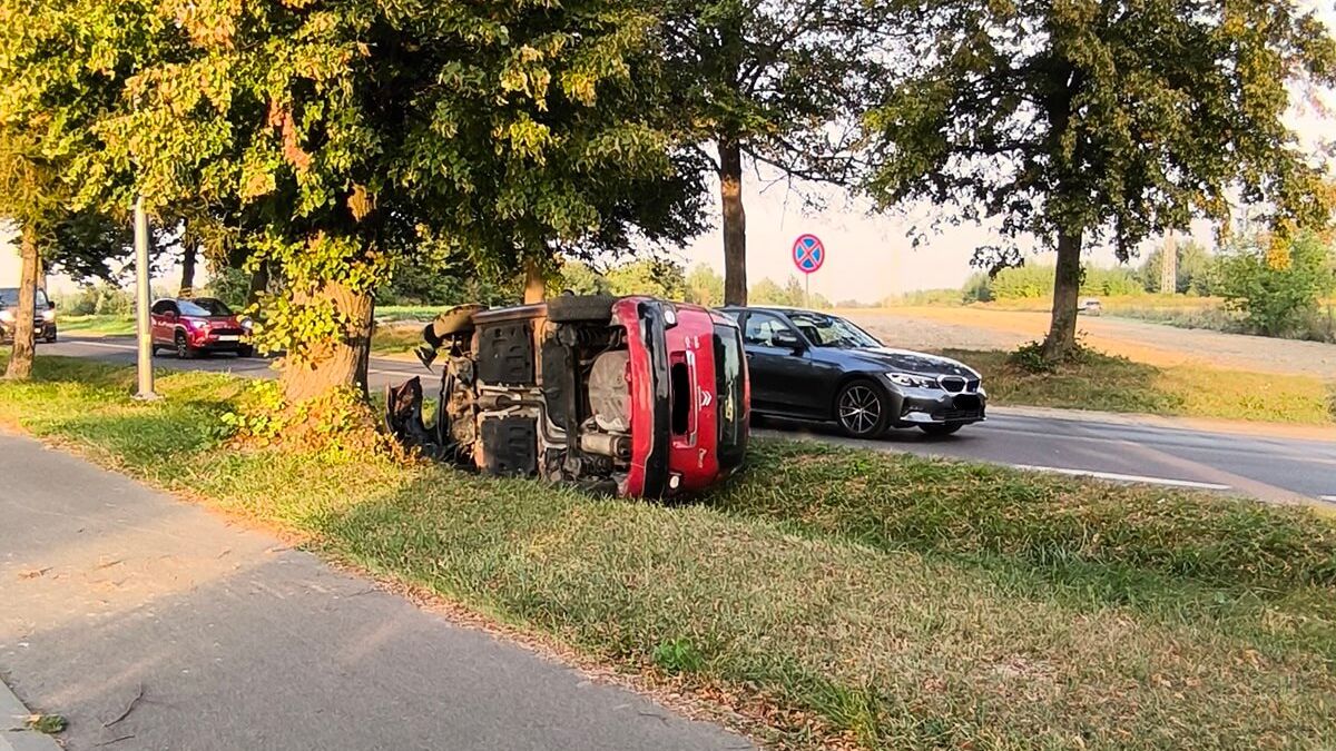 Citroen uderzył w drzewo i przewrócił się na bok na ul. Zemborzyckiej