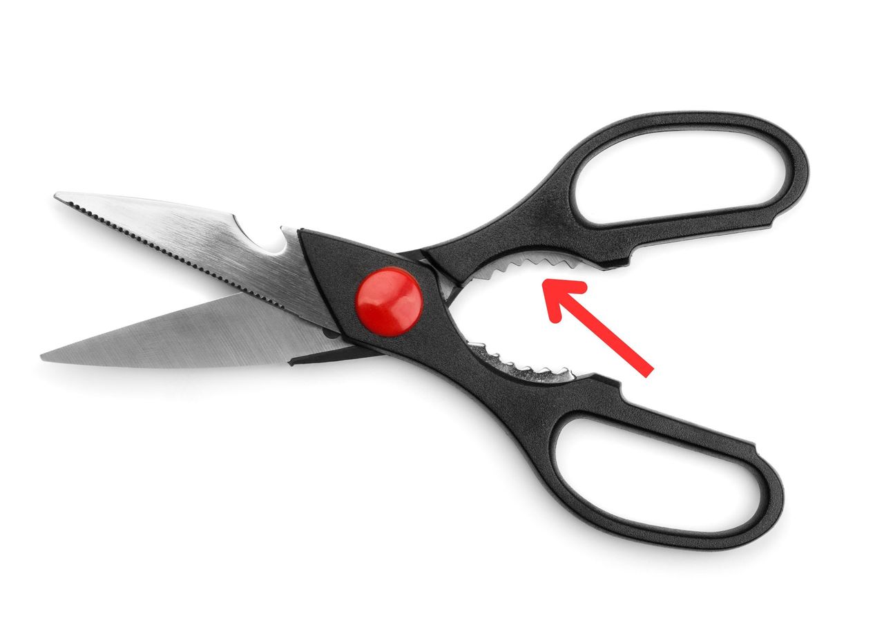 What are the "teeth" in scissors used for?