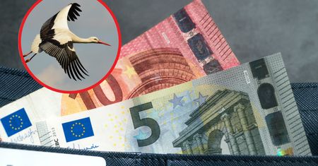 Bocian biały na banknotach euro? Jest taka propozycja