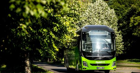 FlixBus uruchamia kolejne długie trasy. Na liście miasto, które pokochali Polacy