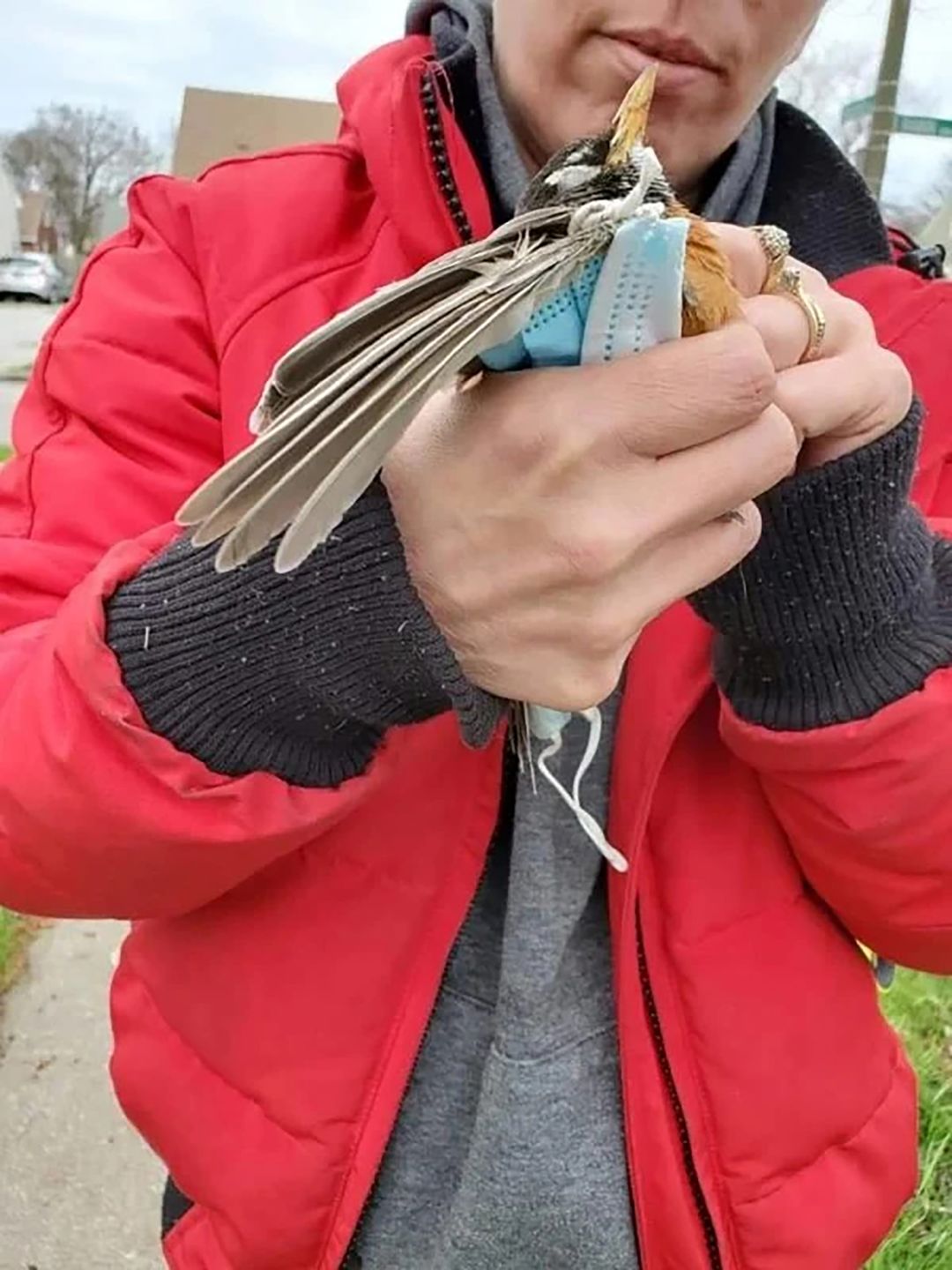 Rękawiczki i maseczki kontra środowisko. Zdjęcia pokazują skutki pandemii 5