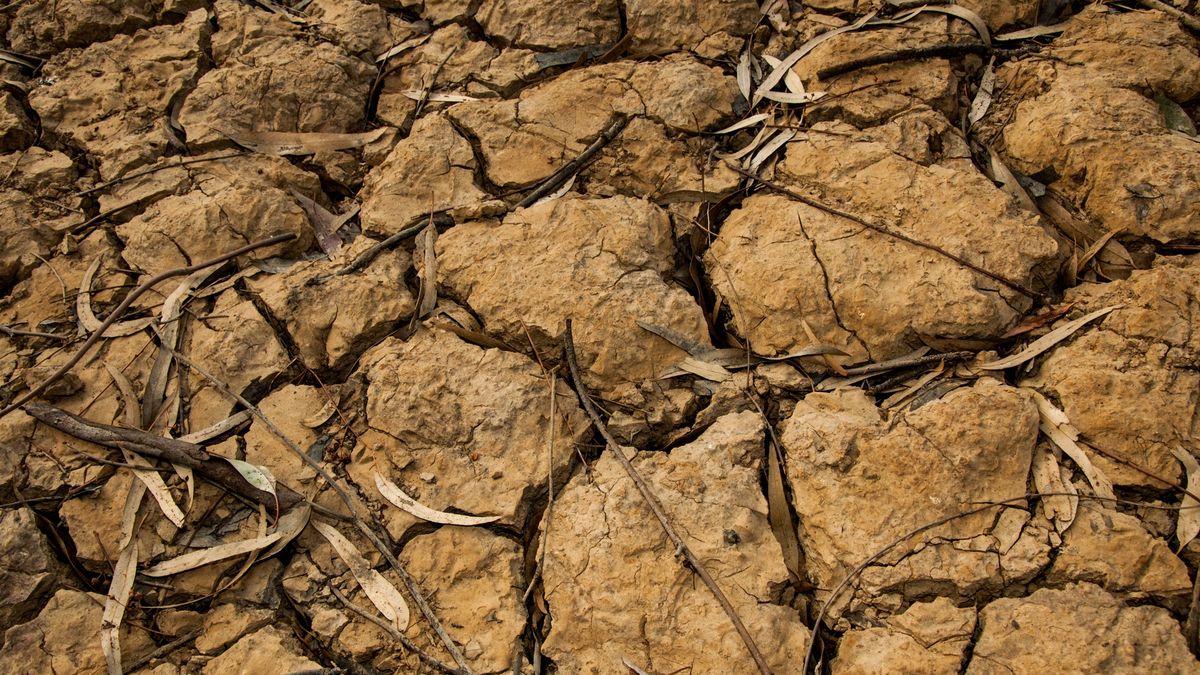 Parlament Europejski chce przeciwdziałać suszy, która dotyka państwa UE (zdjęcie ilustracyjne).