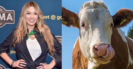 Marcelina Zawadzka promuje nowy show "FARMA": "Babcia nauczyła mnie DOIĆ KROWY" (ZDJĘCIA)