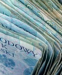 Polacy są rozsądni finansowo? Większość spłaca tylko jeden rodzaj kredytu