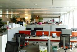 Więcej ofert pracy dla osób z najkrótszym stażem zawodowym