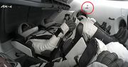 Poleciała z Polakiem w kosmos. Ta maskotka stanie się symbolem