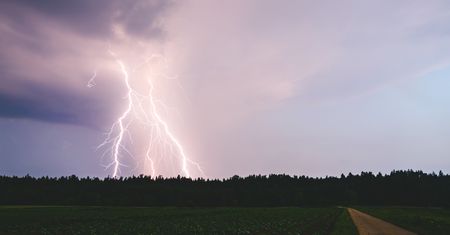 Tragedia koło Jędrzejowa. Kobietę trafił piorun