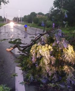 Gwałtowne burze nad Polską. Setki interwencji strażaków. Tysiące ludzi bez prądu