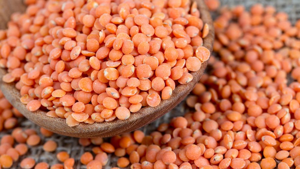 Surowa soczewica (różowa lub czerwona)