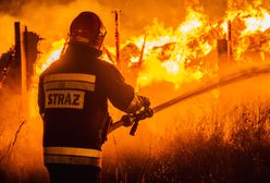 Duży pożar w Łodzi. Ogień w hali z zabawkami