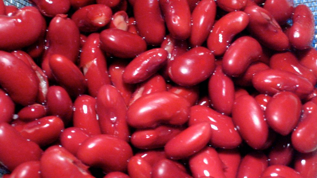 Czerwona fasola nerkowata w puszce, odsączona