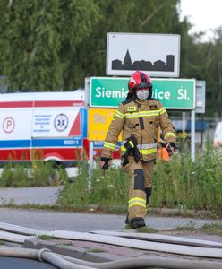 116 strażaków walczyło z ogniem na Śląsku. "Bardzo gwałtowny przebieg"