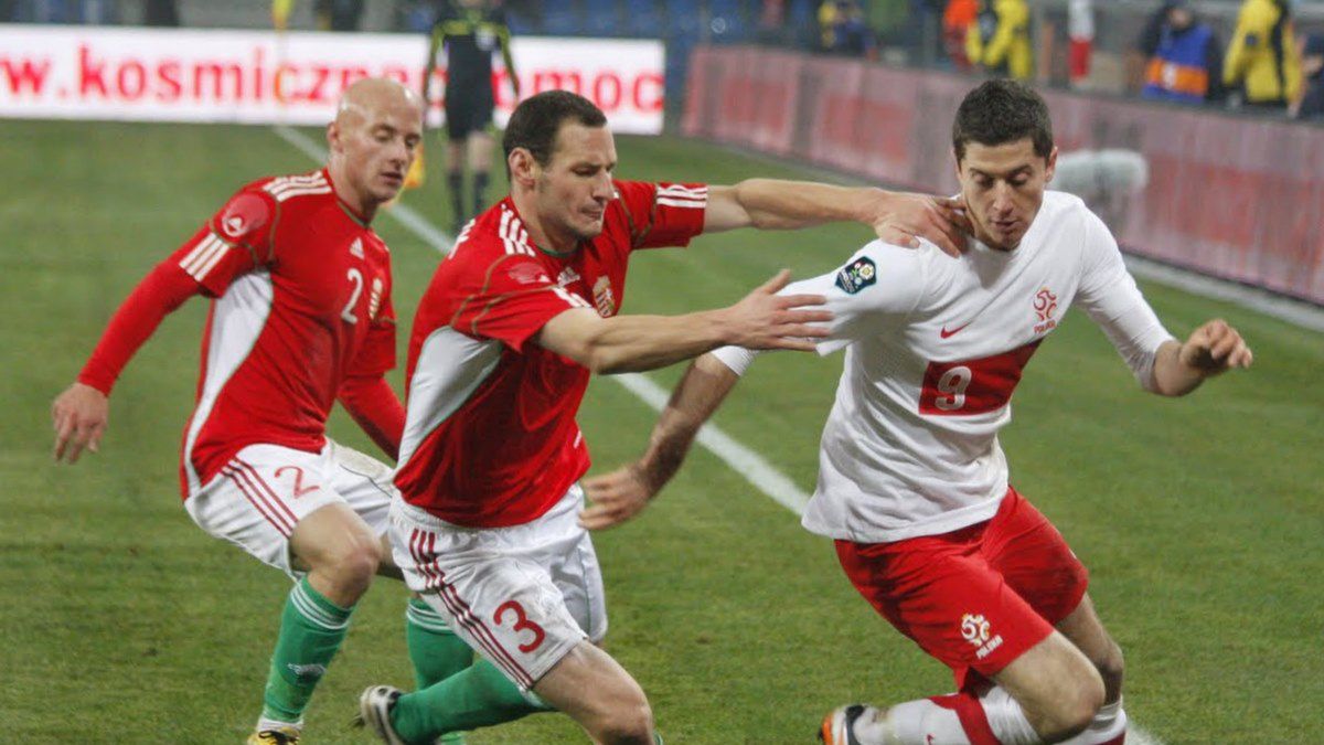 fot. Robert Gorączniak, wikipedia/ CC BY 3.0