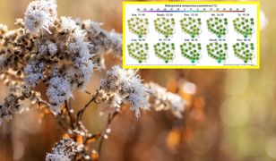 Arktyczne przymrozki w Polsce. Kiepskie informacje dla Polaków