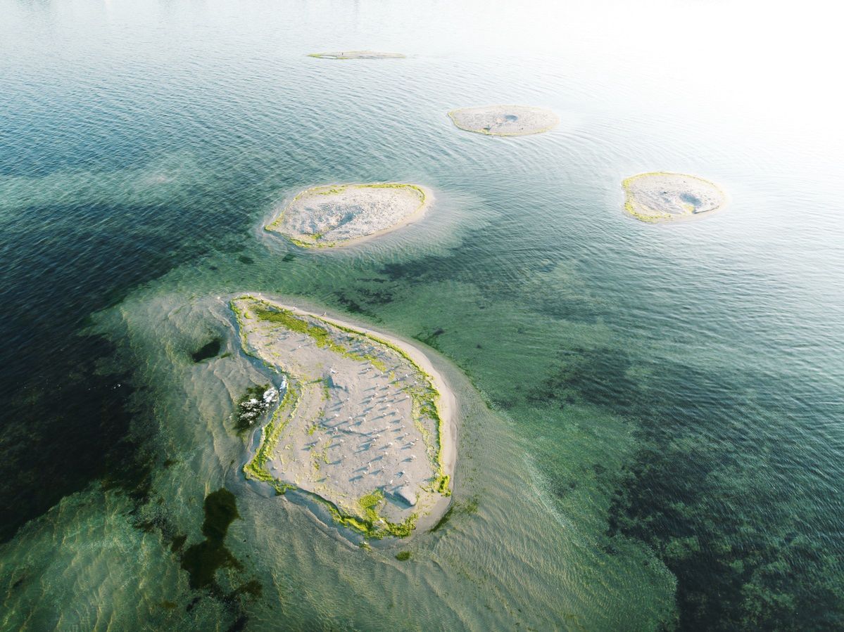 Nowy archipelag na Półwyspie Helskim. Wygląda niesamowicie