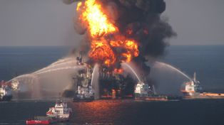 16 lat po katastrofie Deepwater Horizon. W głębinach nadal jest źle