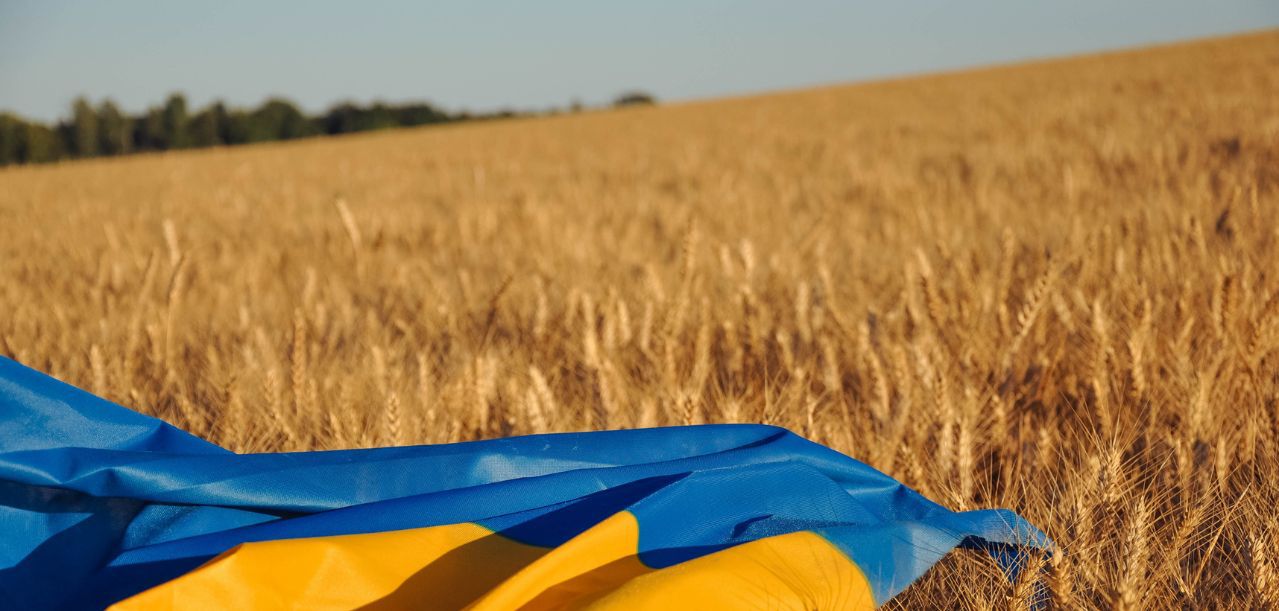 Liberalizacja importu z Ukrainy zakończona. MRiRW ogłasza sukces