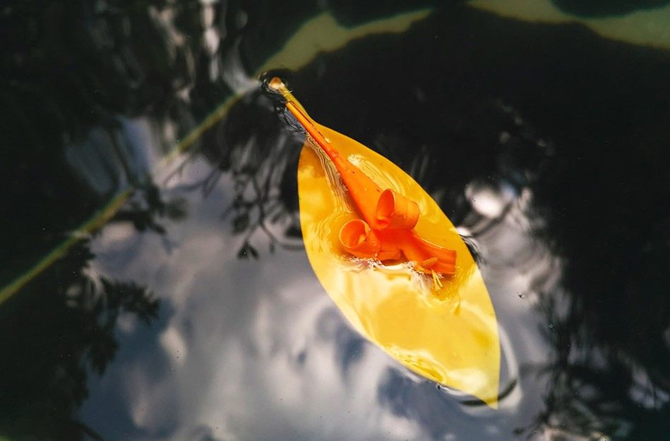 Xiaomi Redmi 3 oficjalnie. To się nazywa dobry stosunek ceny do jakości! 5