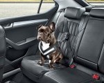 Skoda podpowiada - jak przewozi psa w samochodzie?