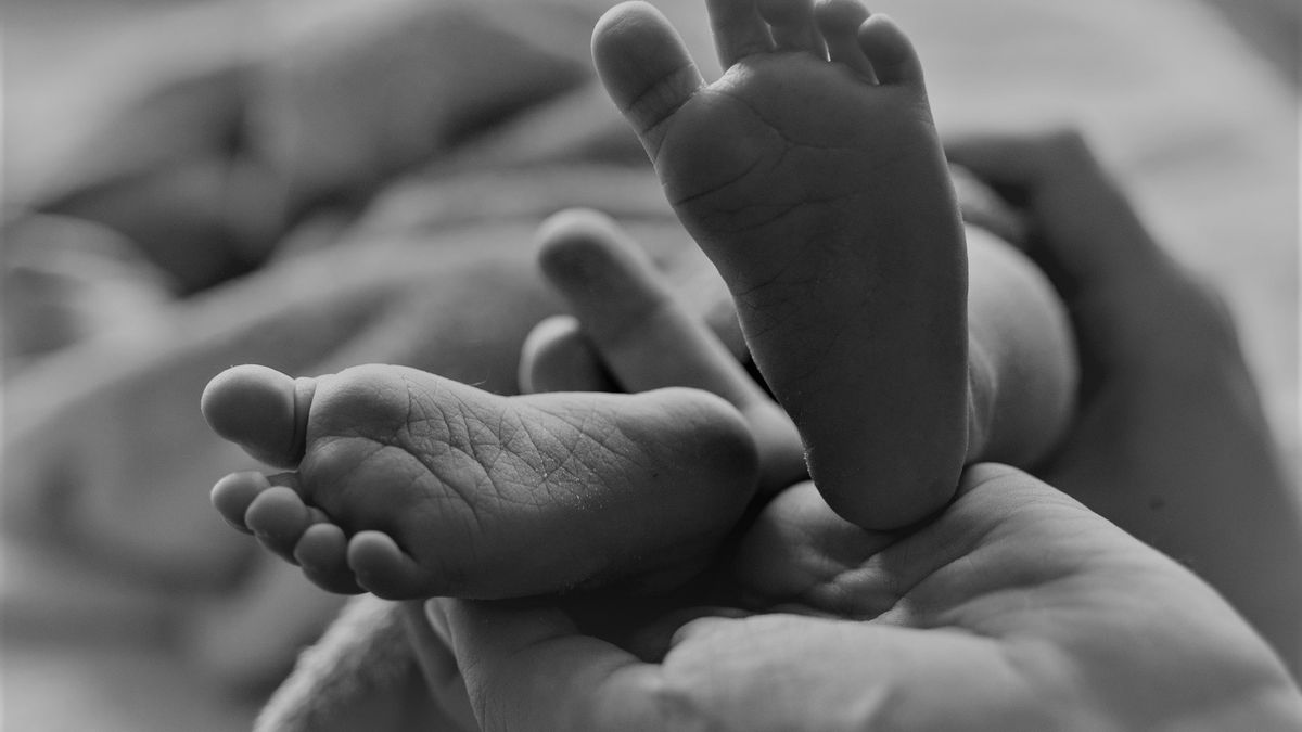 Zdjęcie ilustracyjne. 