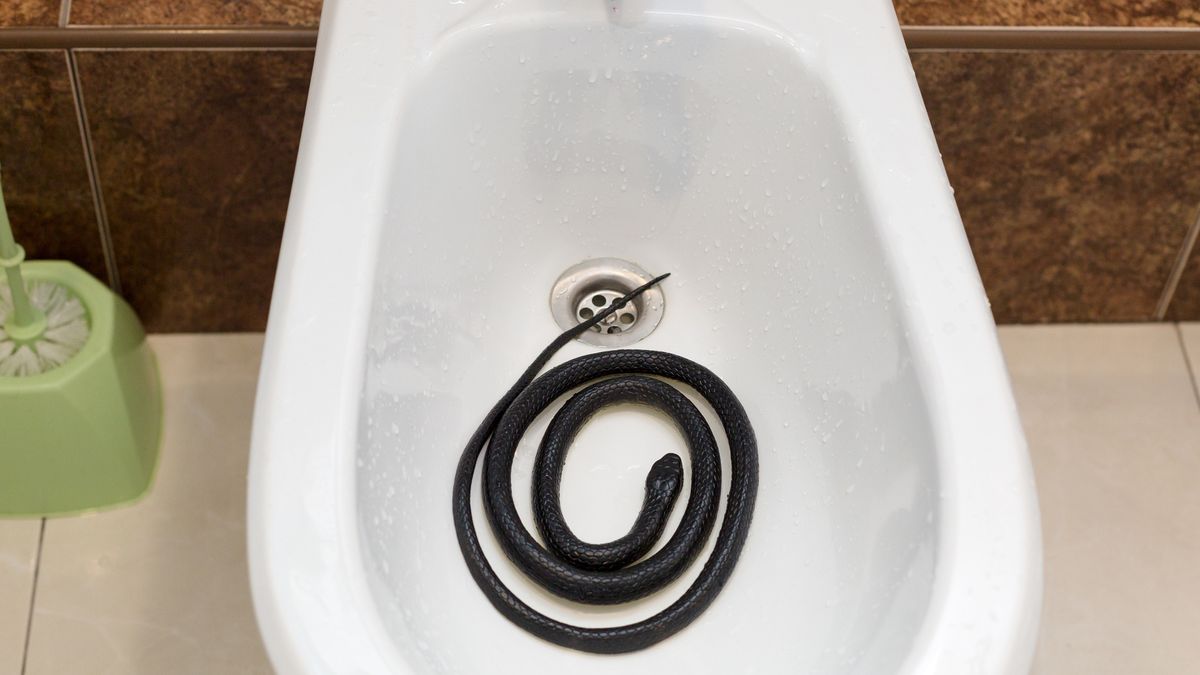 Do zdarzenia doszło w RPA