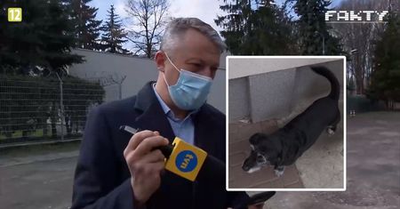 Podkomisja smoleńska wszystko ma ściśle tajne. Nawet imię dla psa