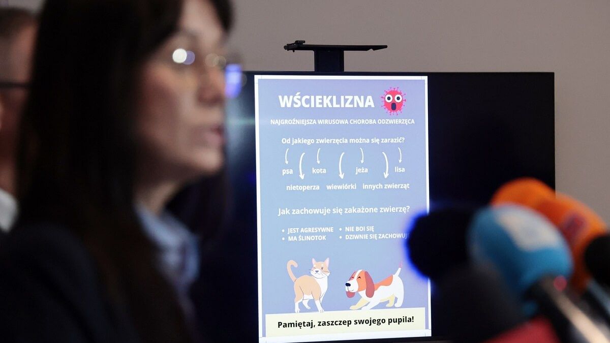 Plakat akcji szczepień zwierząt