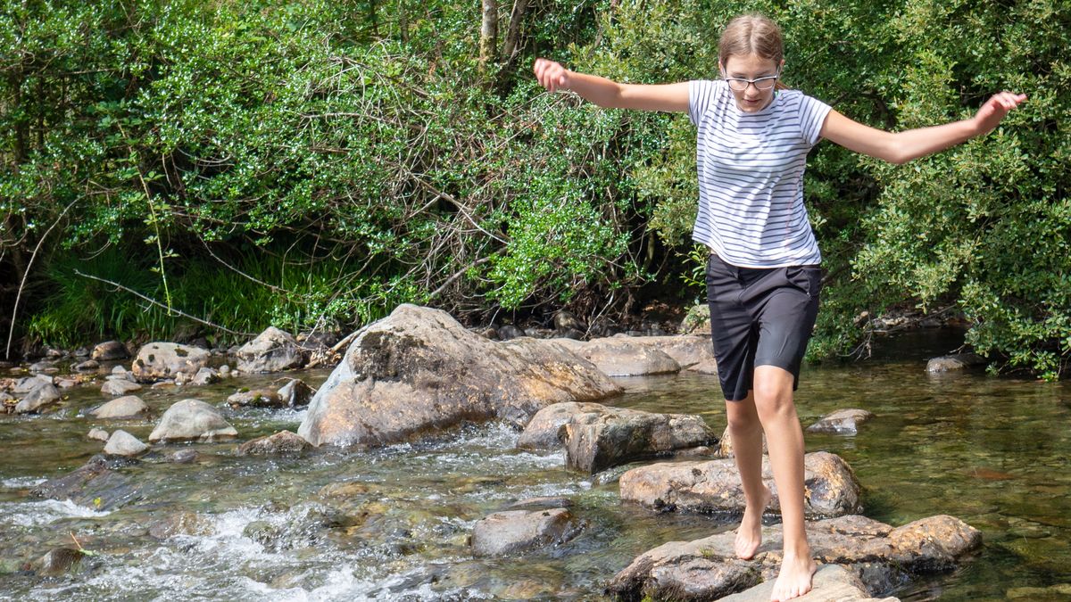 13-latka doznała poważnych obrażeń po tym, jak w trakcie zabawy wdepnęła w barszcz Sosnowskiego (zdjęcie ilustracyjne)