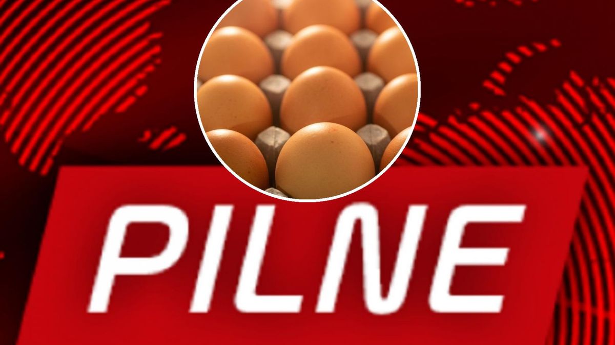 Jajka wycofane ze sprzedaży z powodu wykrycia bakterii salmonelli