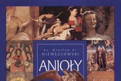 Kod Lyoko 1. Podziemny zamek