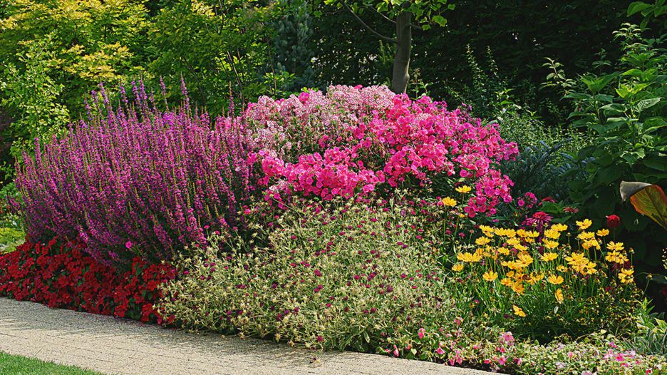 Nie usuwaj tego w ogrodzie