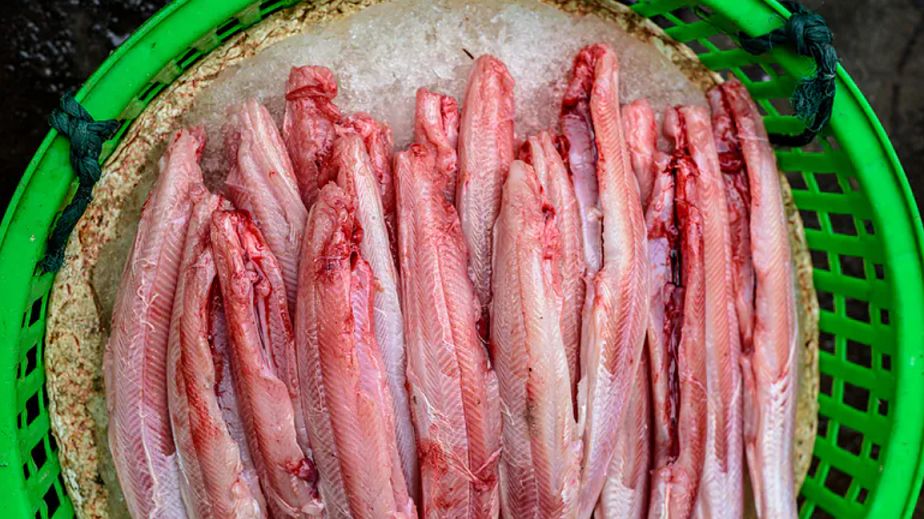 Jedna z najbardziej lubianych ryb w naszym kraju. Choć jest tania i smaczna, to prawdziwe siedlisko rtęci