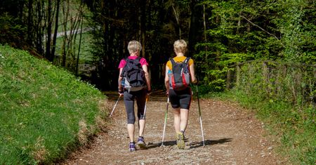 Marsz z kijkami. Różnice między trekkingiem i Nordic Walking