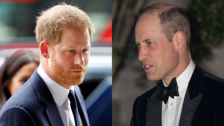 Ekspertka skrytykowała zachowanie księcia Harry'ego
