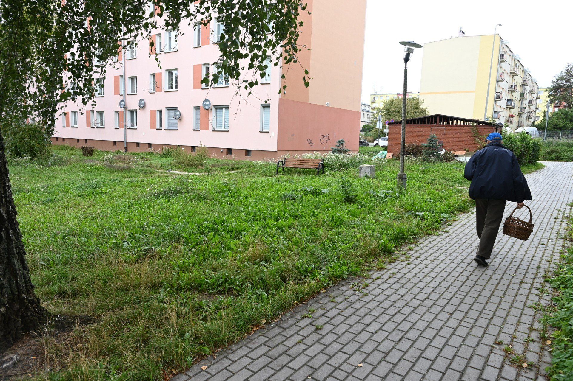Projekt wzorowany jest na parku kieszonkowym przy ulicy Wiśniowej i ma poprawić estetykę okolicy, lokalny mikroklimat oraz stworzyć przestrzeń o efekcie terapeutycznym dla mieszkańców osiedla.