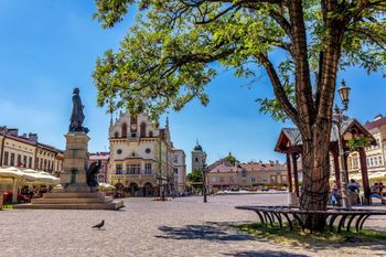 Rzeszów: Zjechał samochodem po schodach do urzędu
