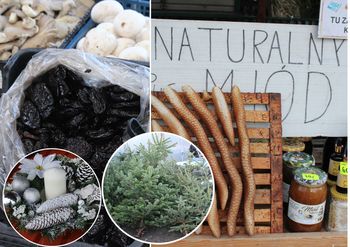 Koszalin: Wtorek na targowisku. Świątecznie i różnorodnie na stoiskach