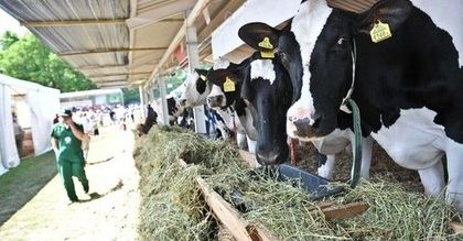 W tych sklepach kupisz produkty ekologiczne. Nowa moda czy zdrowy sposób na życie?