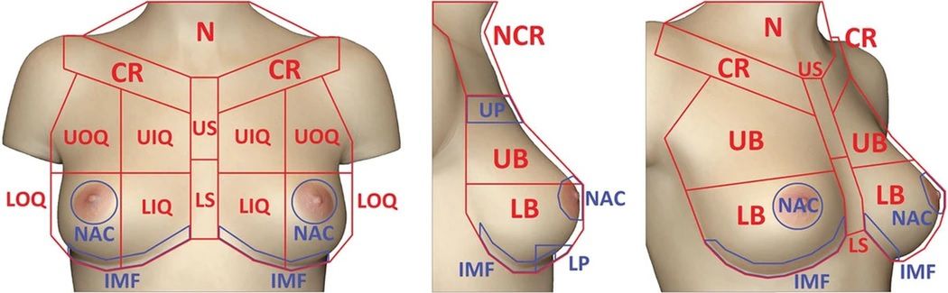 fot. Plastic and Reconstructive Surgery