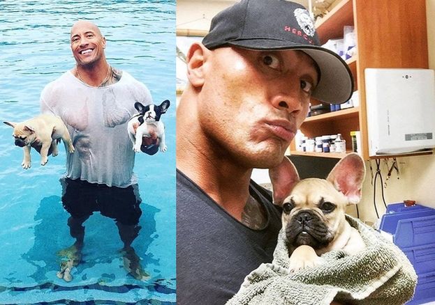 Dwayne Johnson uratował tonące szczeniaki! (FOTO)