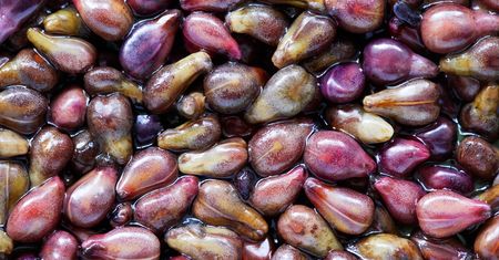 Zdrowsze niż orzechy, a kosztują znacznie mniej. Obniżają cholesterol i chronią przed rakiem